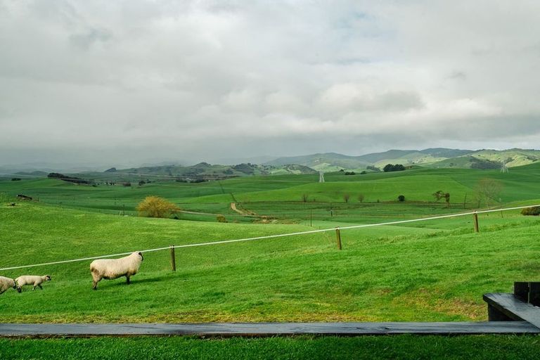 Photo of property in 383 Martin Road, Waerenga, Te Kauwhata, 3781