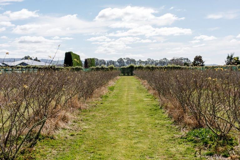 Photo of property in 36 Hogbin Road, Te Teko, Whakatane, 3193