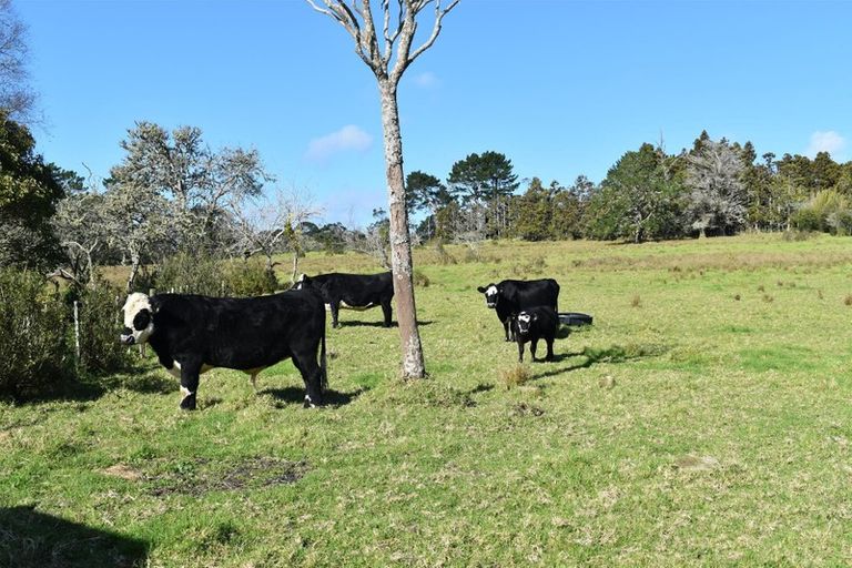 Photo of property in 6 Coulter Road, Swanson, Auckland, 0614