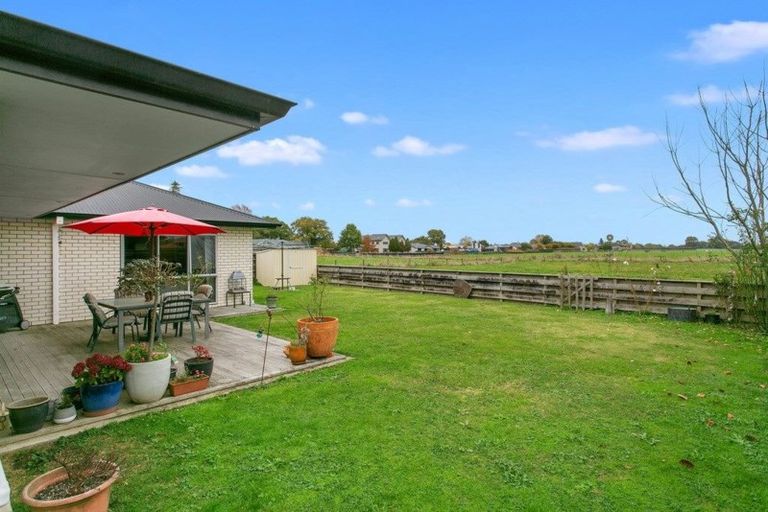 Photo of property in 16 Ashworth Place, Matamata, 3400
