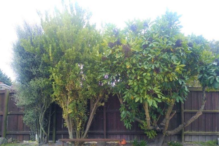 Photo of property in 2/5 Fir Tree Lane, Aranui, Christchurch, 8061