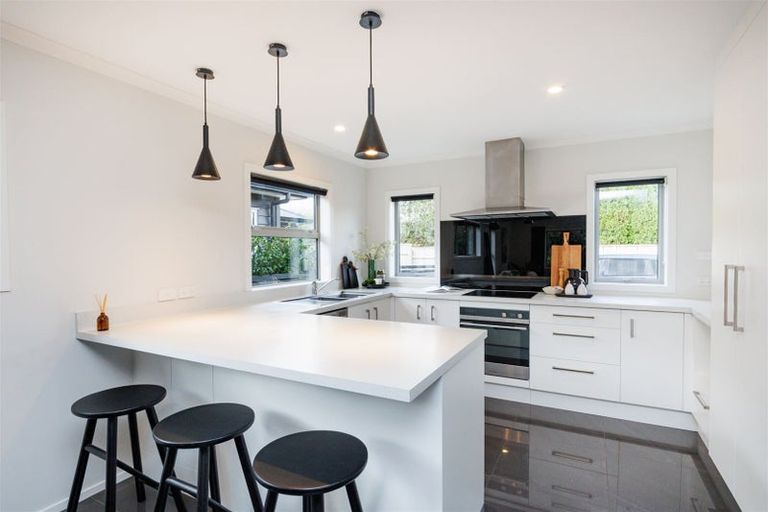 Photo of property in 83b Fitzroy Street, Terrace End, Palmerston North, 4410