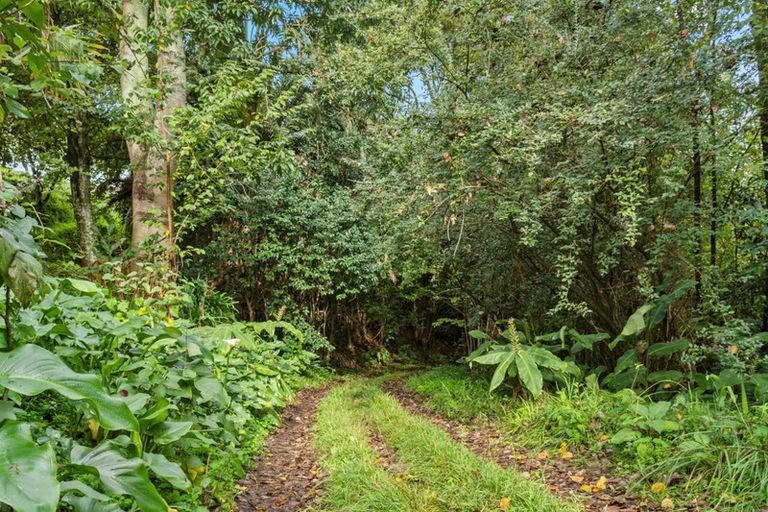 Photo of property in 264 Bellevue Road, Bellevue, Tauranga, 3110