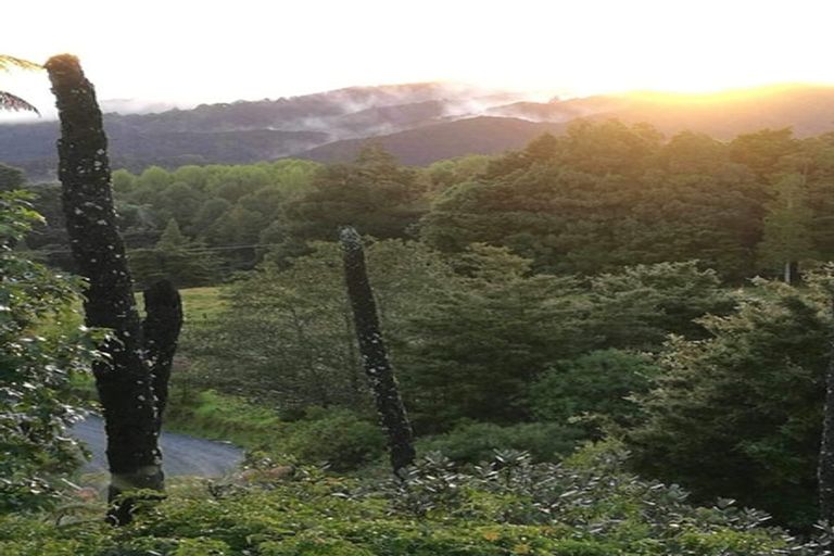 Photo of property in 431 Omaunu Road, Kaeo, 0479