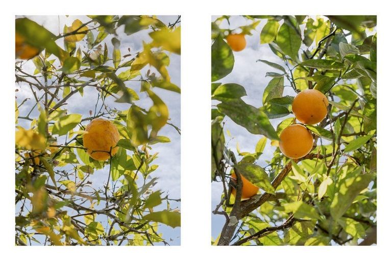 Photo of property in 46 Mcgarvey Road, Whakatane, 3120