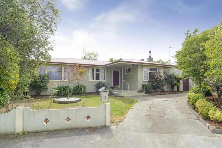 Photo of property in 12 Tawa Street, Palmerston North, 4414