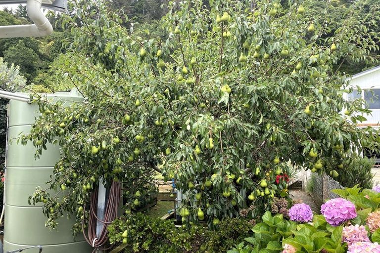 Photo of property in 720 Tararu Sh25 Road, Thames, 3500