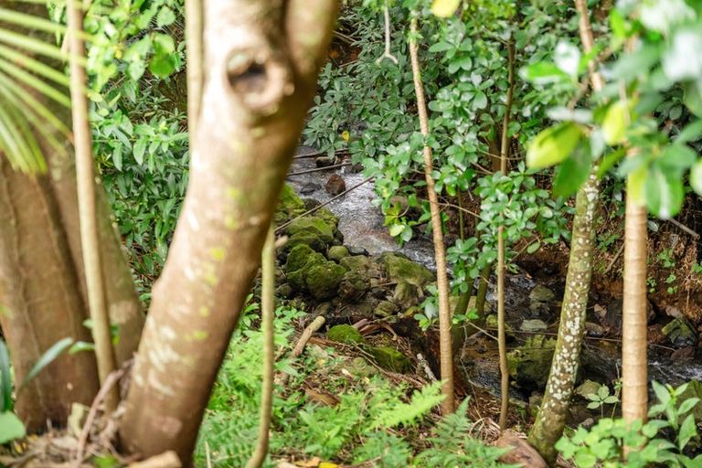 Photo of property in 17 Parkland Crescent, Terrace End, Palmerston North, 4410