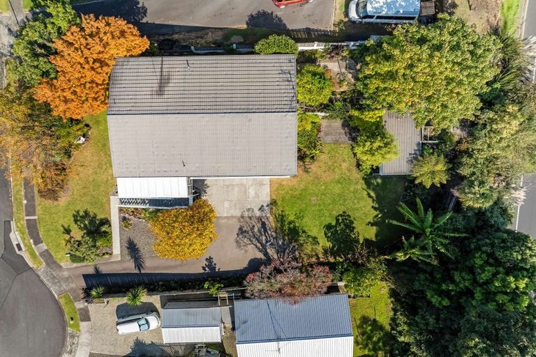 Photo of property in 8 Miriana Street, Maungatapu, Tauranga, 3112
