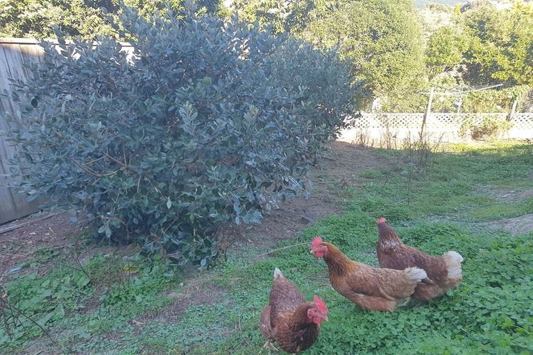 Photo of property in 7 The Topdeck, Whitby, Porirua, 5024