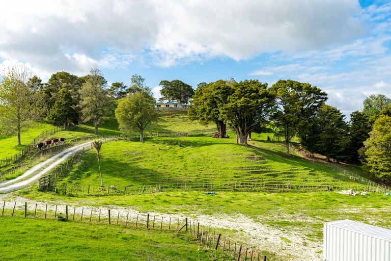 Photo of property in 251 Griffin Road, Maungaturoto, 0583