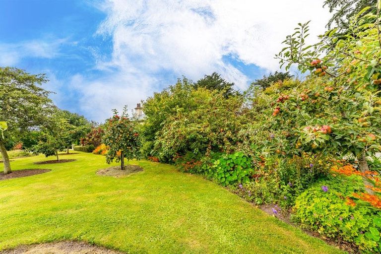 Photo of property in 56 Burgess Road, Herbert, Oamaru, 9495