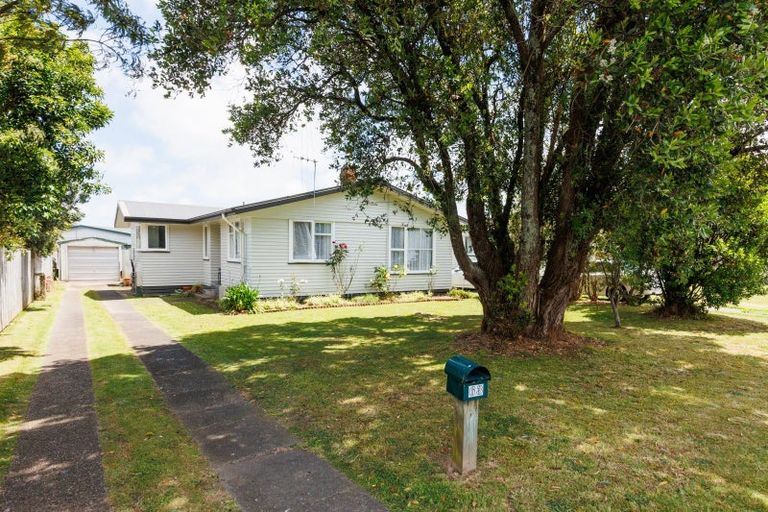 Photo of property in 63 Taumaihi Street, Bulls, 4818