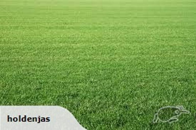 Photo of property in 11 Edwin Grove, Bethlehem, Tauranga, 3110