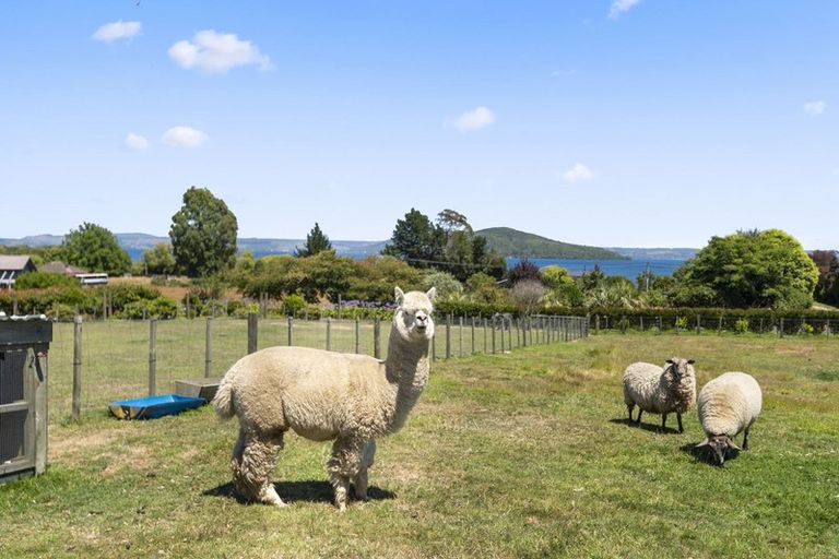 Photo of property in 31 Glenroy Place, Tikitere, Rotorua, 3074