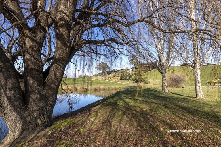 Photo of property in 36 Golf View Close, Fairhall, 7272