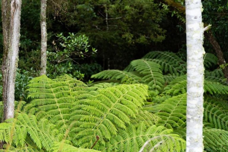 Photo of property in 231 Wright Road, Titoki, Whangarei, 0172