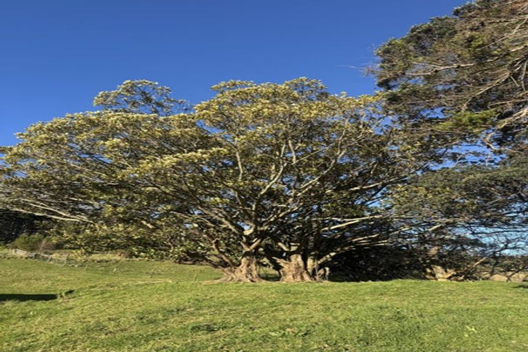 Photo of property in 54 Kourataki Road, Leigh, Warkworth, 0985