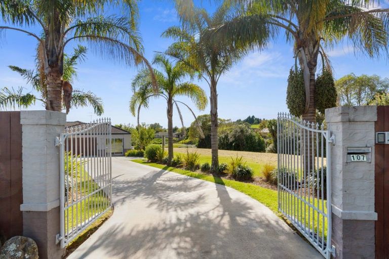 Photo of property in 107 Orange Lane, Bethlehem, Tauranga, 3110