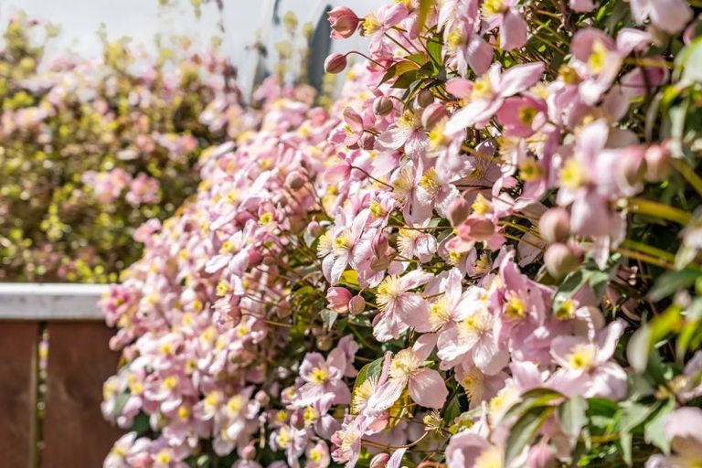 Photo of property in 16a Sheridan Crescent, Trentham, Upper Hutt, 5018