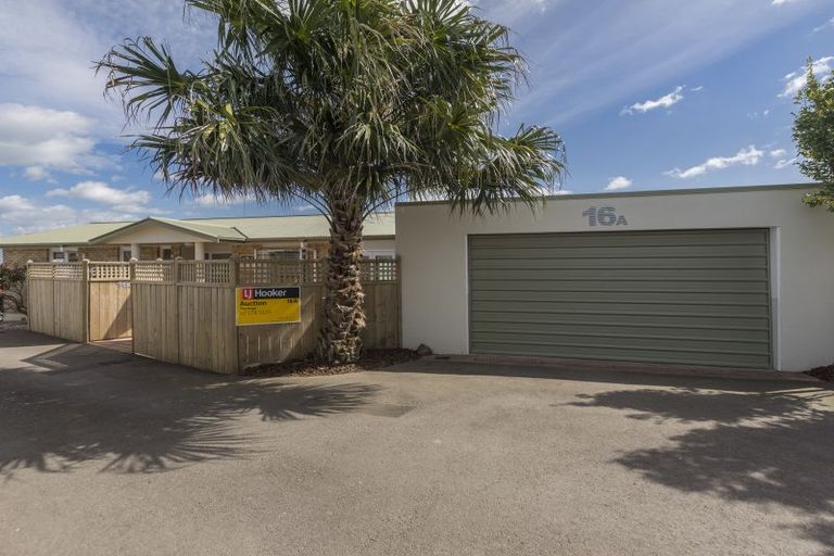 Photo of property in 16a Bristol Avenue, Brookfield, Tauranga, 3110