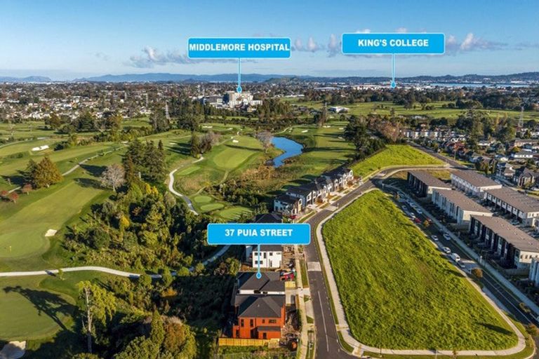 Photo of property in 37 Puia Street, Papatoetoe, 2025