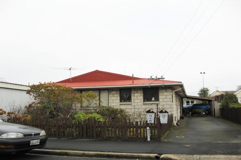 Photo of property in 75 Loyalty Street, Forbury, Dunedin, 9012