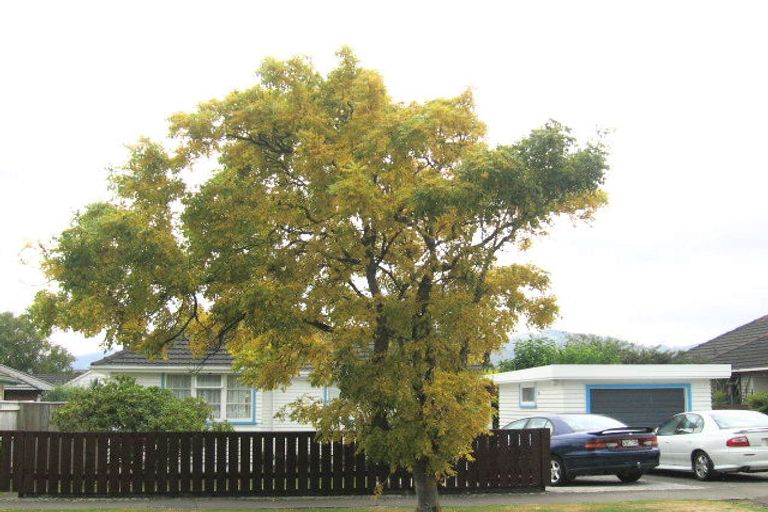 Photo of property in 30 Fraser Crescent, Elderslea, Upper Hutt, 5018