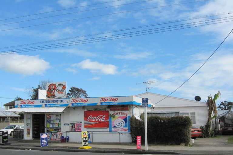 Photo of property in 87 Bartholomew Road, Levin, 5510