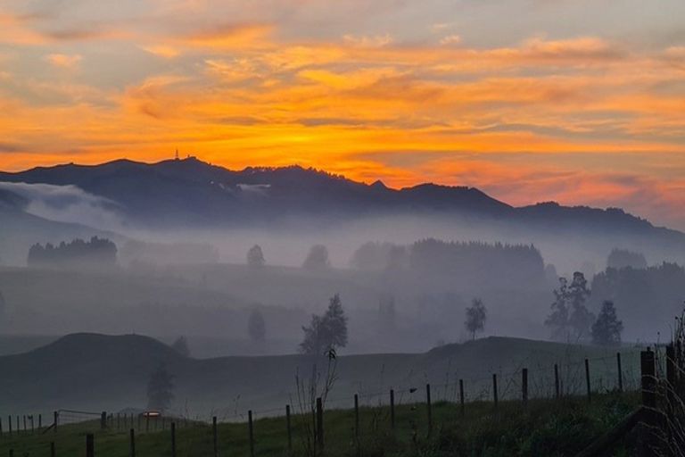 Photo of property in 82 Hicks Road, Maungatautari, Cambridge, 3494