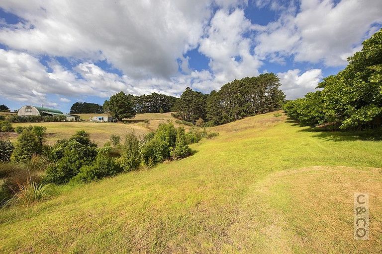 Photo of property in 231 Taiapa Road, Muriwai, Waimauku, 0881