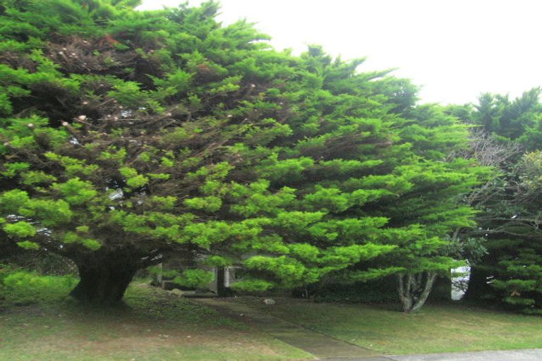 Photo of property in 116 Conclusion Street, Ascot Park, Porirua, 5024