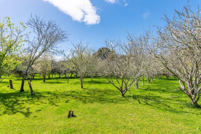 Photo of property in 35 Whelans Road, Levin, 5571