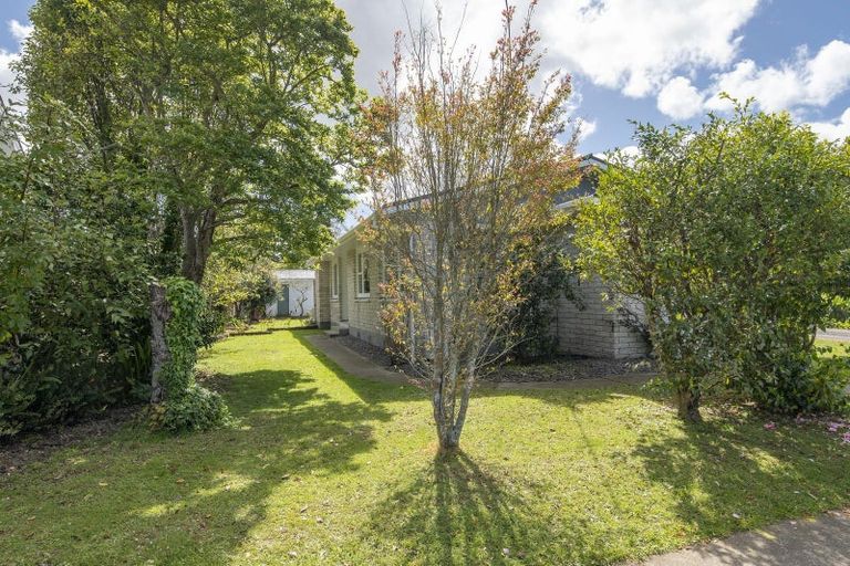 Photo of property in 59 Macarthur Street, Levin, 5510