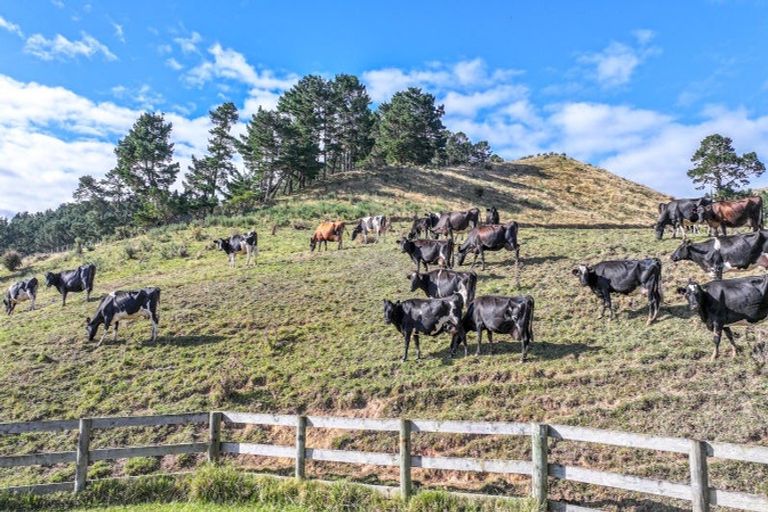 Photo of property in 183b Thorp Road, Paeroa, 3673