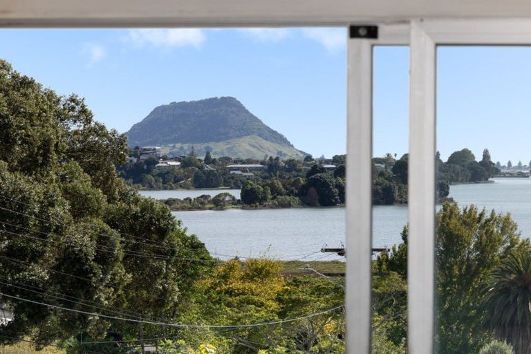 Photo of property in 51 Churchill Road, Judea, Tauranga, 3110