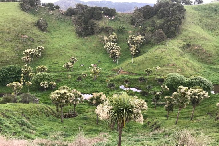 Photo of property in 763d White Pine Bush Road, White Pine Bush, Whakatane, 3191