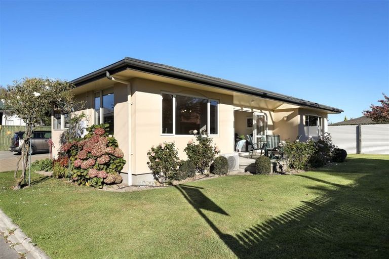 Photo of property in 91a Alfred Street, Blenheim, 7201