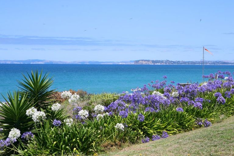 Photo of property in 124 North Shore Road, Eskdale, Napier, 4182