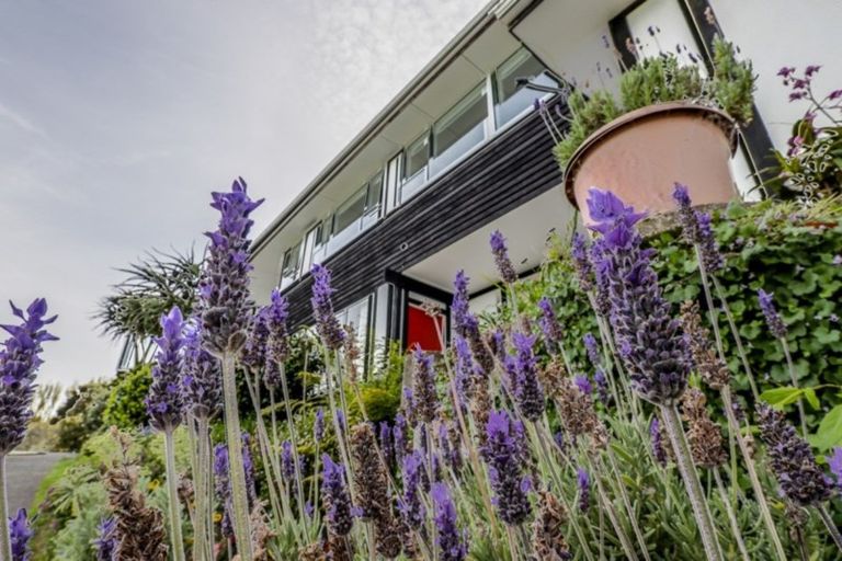 Photo of property in 55 Kakariki Grove, Waikanae, 5036