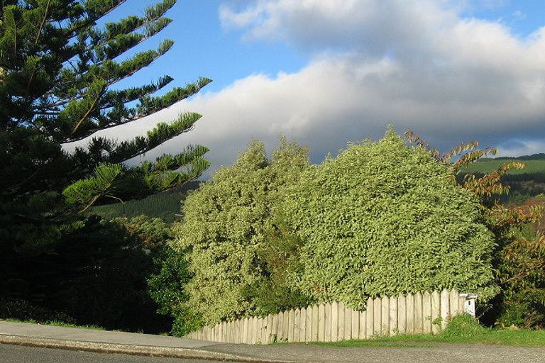 Photo of property in 6 Moana Road, Paraparaumu, 5032