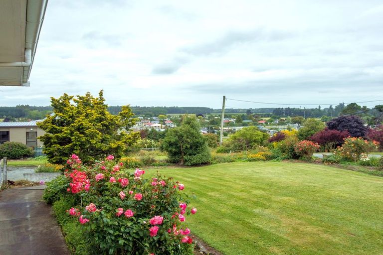 Photo of property in 17 Shere Street, Pleasant Point, 7903