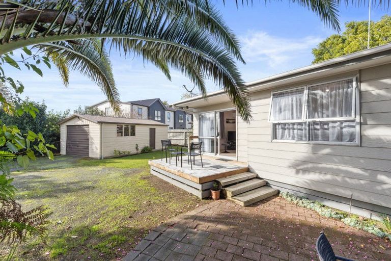 Photo of property in 55b Fifth Avenue, Enderley, Hamilton, 3214