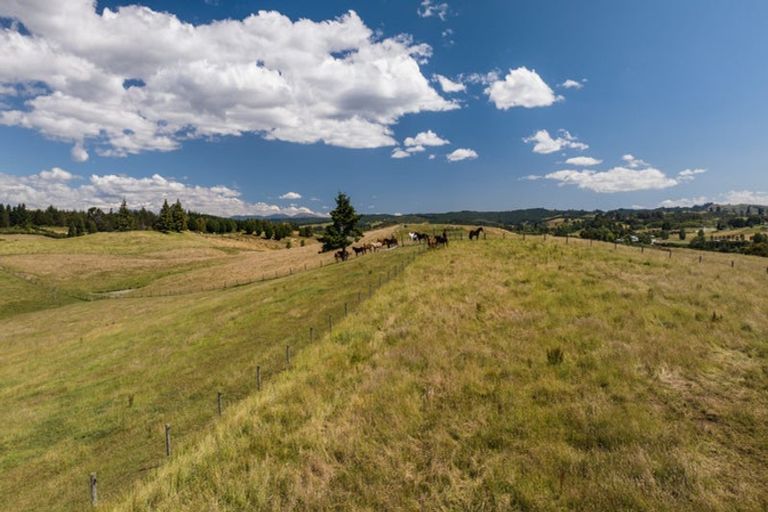 Photo of property in 103 George Harvey Road, Upper Moutere, 7173