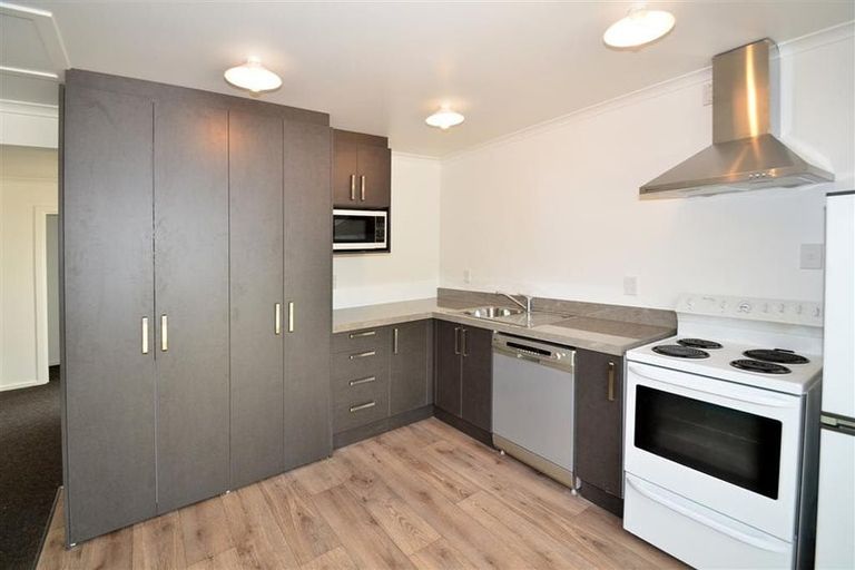 Photo of property in 6b Scone Avenue, North East Valley, Dunedin, 9010