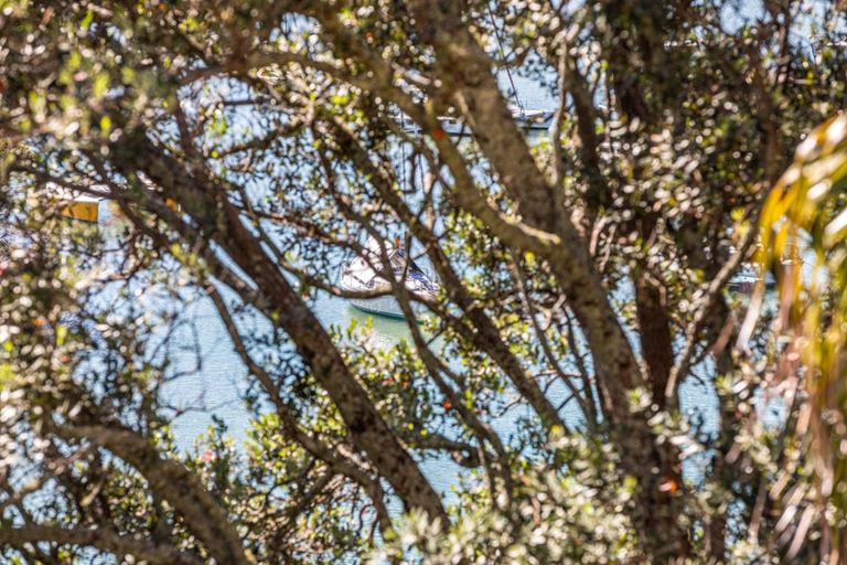 Photo of property in 10-12 Awanui Street, Birkenhead, Auckland, 0626