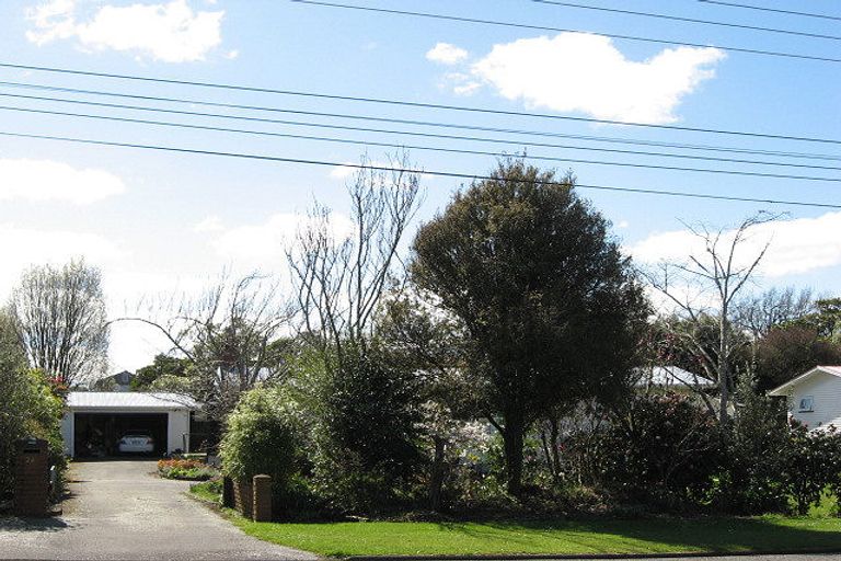 Photo of property in 24 Bond Street, Marton, 4710