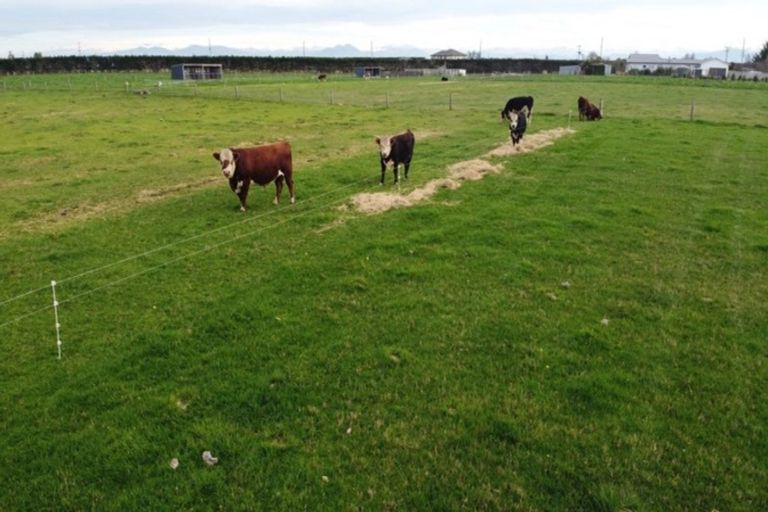 Photo of property in 10 Russells Road, Eiffelton, Ashburton, 7774