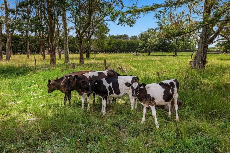 Photo of property in 27 Putiki Road, Edgecumbe, Whakatane, 3193