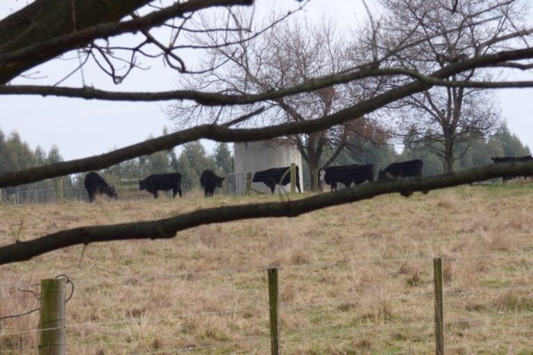 Photo of property in 6 Lot Rc, 280 Homestead Road, Weston, Oamaru, 9491